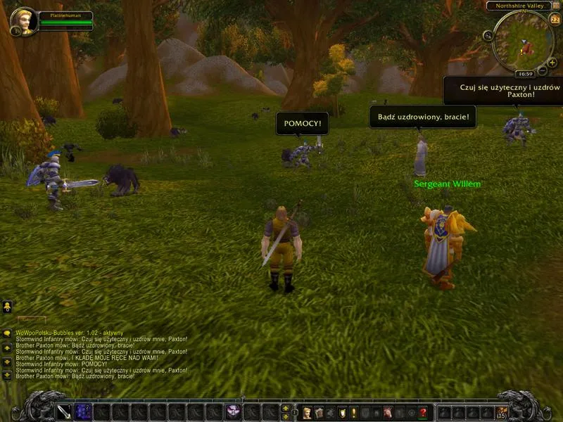 Gry MMO