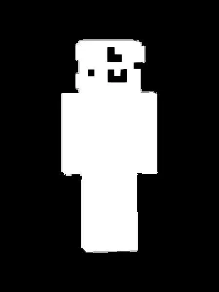 Jak wgrać skina do Minecraft