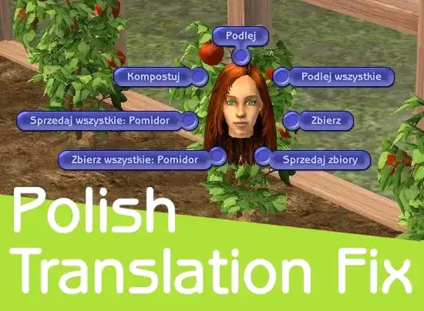 Rozwiązywanie problemów